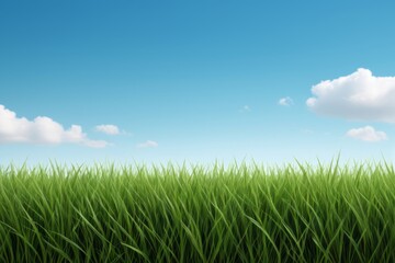 grassy field with clouds and blue sky in the background