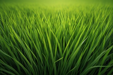 Obraz premium a close up of a green grass field with a bright light