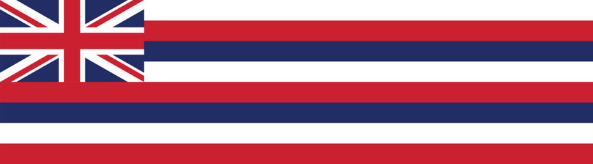 Hawaii flag long banner digital vector illustration