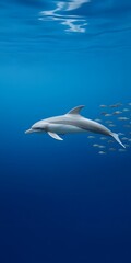 Naklejka premium Fish Dolphin and School of Fish Swimming in Tranquil Waters