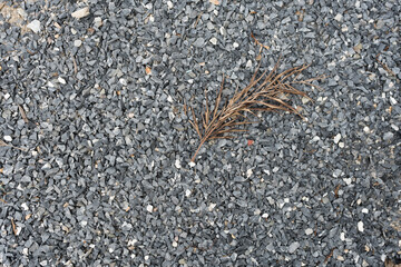 Dry leaf on gravel. Top view