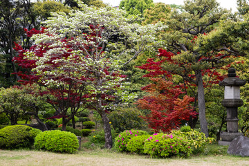 Japan garden