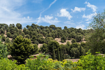 Obraz premium Spain Granada