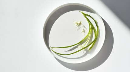 Stir-fried morning glory with oyster sauce presented on a white ceramic plate. 