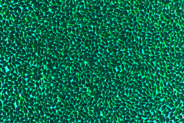 Particle, rough, textured texture, leather, paper, pattern, dot, shape, overlay