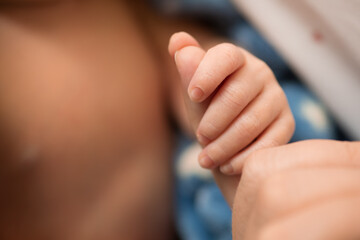 Little newborn baby hands and fingers delicate close up