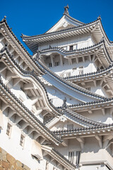 Fototapeta premium Himeji castle, Elegant Asian architecture against blue sky at Himeji, Japan
