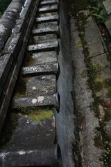 Aged Roof Tiles with Natural Moss – Wabi-Sabi Aesthetic