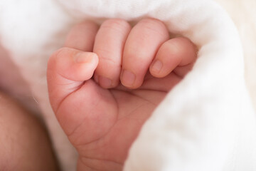  Little newborn baby hands and fingers close up