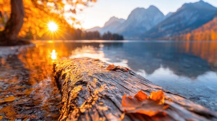 Autumn sunrise over mountain lake, log in foreground