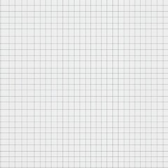 Clean graph paper sheet featuring a light grid pattern ideal for calculations and creative designs