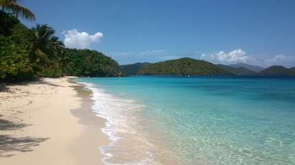 Fototapeta premium Serene Beach with Crystal Clear Turquoise Water and Lush Landscape
