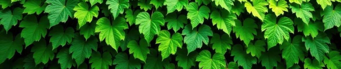 Dense green leaf wall, varied textures, natural setting, vegetation, scene