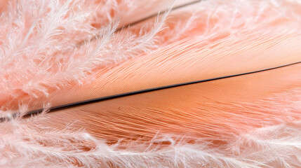 Pink bird feathers close-up; delicate texture; nature background; design element