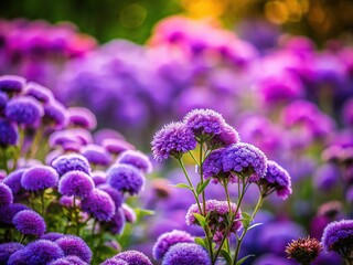 Obraz premium Dreamy tilt-shift image: purple flowers, artistic.