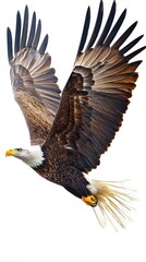 Fototapeta premium A majestic eagle soaring through the sky with its wings fully spread.
