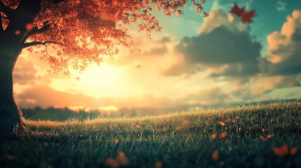 Peaceful landscape of a tree with red leaves and a field of grass in the background during sunset