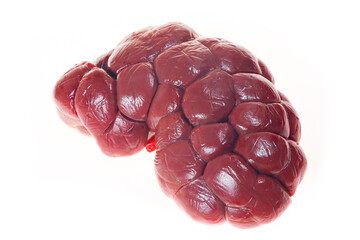 Cow kidneys on a white background
