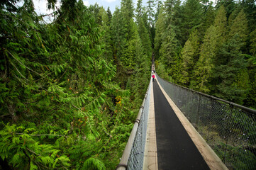 Capilano Suspension Bridge in Vancouver, BC, surrounded by lush evergreens. Visitors walk across the bridge, taking in the natural beauty.