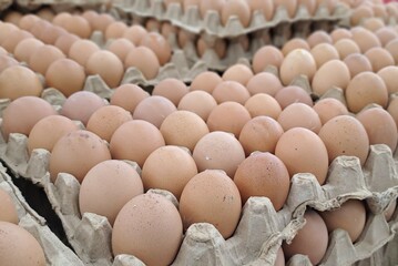 eggs in the market