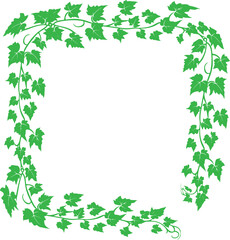 Green ivy vine frame