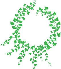 Green ivy vine frame