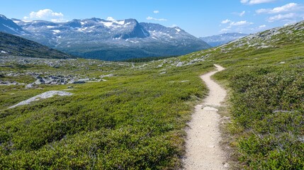 Obraz premium Mountain trail winding through alpine meadow, scenic background