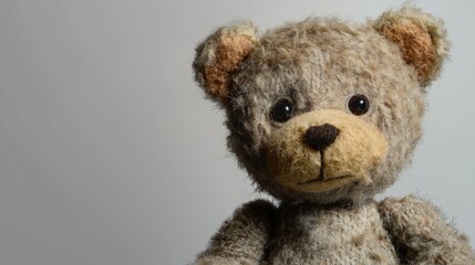 Obraz premium Adorable and fluffy teddy bear with a textured coat