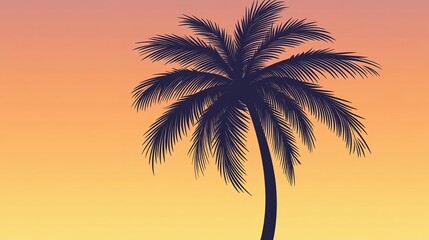 Silhouette Palm Tree Sunset Landscape