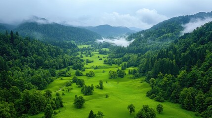 Fototapeta premium Misty valley, lush green hills, aerial view. Potential stock photo use