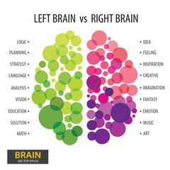 Left and right human brain concept. Infographics brain design. vector illustration.