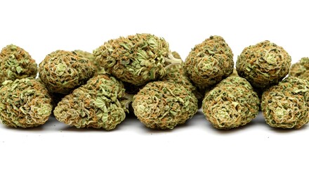 Obraz premium close up view of marijuana buds on white background, panoramic shot,Hands placing trimmed weed buds in a glass jar.