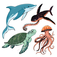 vector illustration of a sea turtle