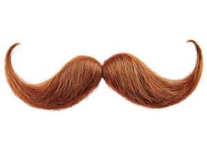vibrant, stylized mustache with rich brown color, perfect for adding character to various designs. This whimsical accessory can enhance creative projects and playful themes