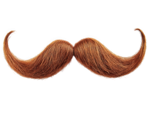 vibrant, stylized mustache with rich brown color, perfect for adding character to various designs. This whimsical accessory can enhance creative projects and playful themes