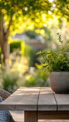 Potted green plant on a wooden table in garden