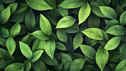 Obraz premium Background of a green tea leavesLeaf of tea