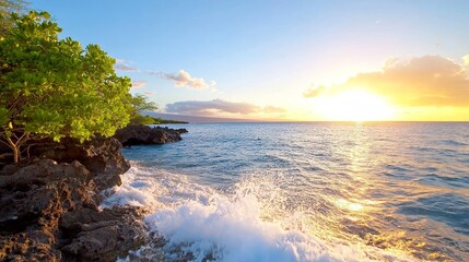 Obraz premium Tropical Sunset Coastline Waves