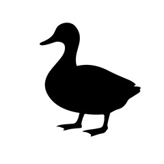 Duck Icon silhouette vector icon sign symbol illustration design.