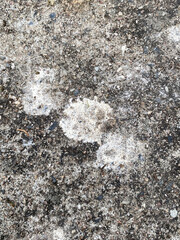 old concrete wall texture background
