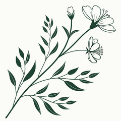 minimal feminine botanical floral branch eps
