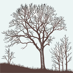 Obraz premium winter trees silhouettes collection set of isolat eps