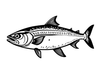 Fototapeta premium black fish, isolated on white background