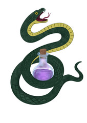 snake (no background)