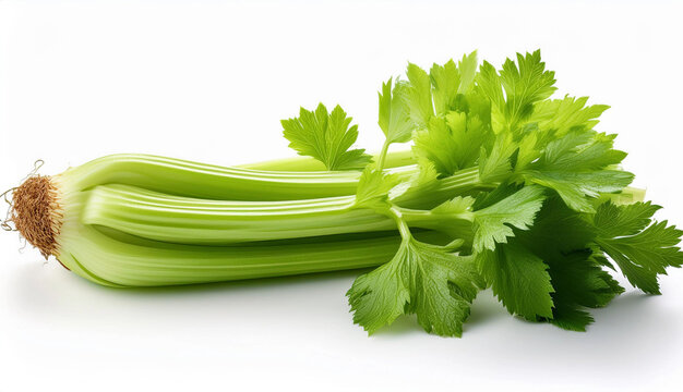 Fresh Celery