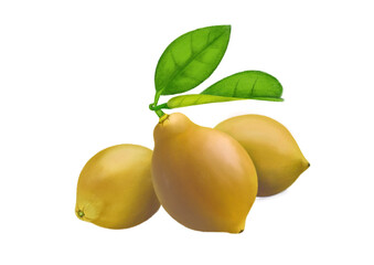 lemons (no background)