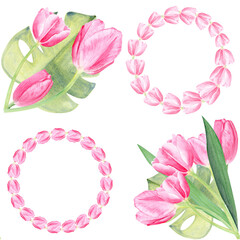 Tulips bouquets with monstera leafs and tulip wreaths watercolor seamless pattern isolated on white. Hand painted high quality clip art perfect for mother's day, women's day wrapping paper, packaging