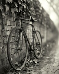 Obraz premium Monochrome photo of vintage bicycle leaning against a brick wall covered in ivy.