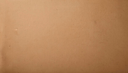 Fototapeta premium Brown Paper Texture