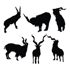 Set of ‎Bukharan markhor, ‎Kashmir markhor, ‎Astor markhor and ‎Kabul markhor black silhouettes illustration vol 02